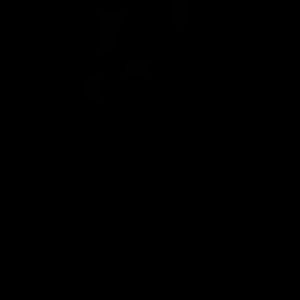 Meet your Posher, Isabel